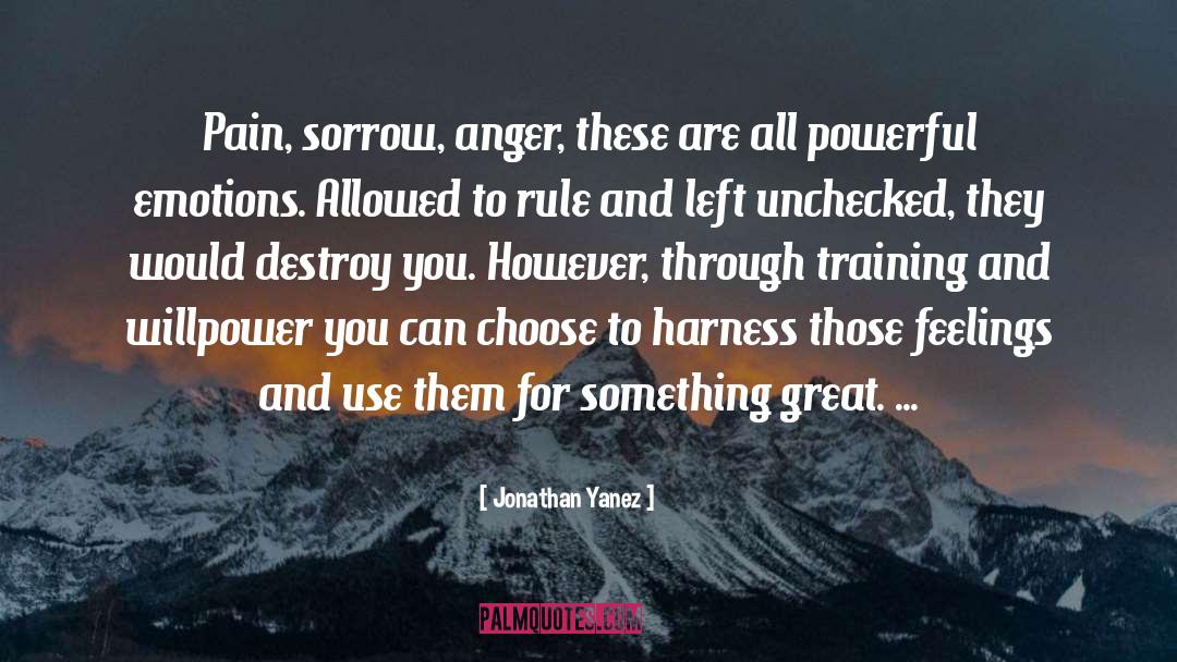 Jonathan Yanez Quotes: Pain, sorrow, anger, these are