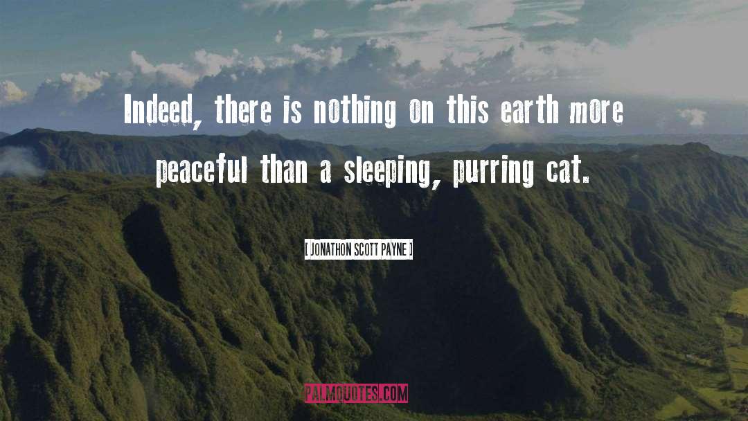 Jonathon Scott Payne Quotes: Indeed, there is nothing on