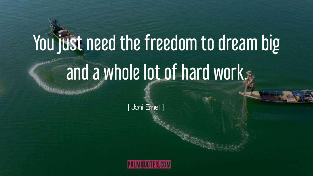 Joni Ernst Quotes: You just need the freedom