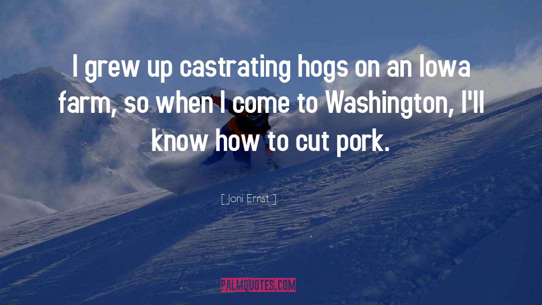 Joni Ernst Quotes: I grew up castrating hogs