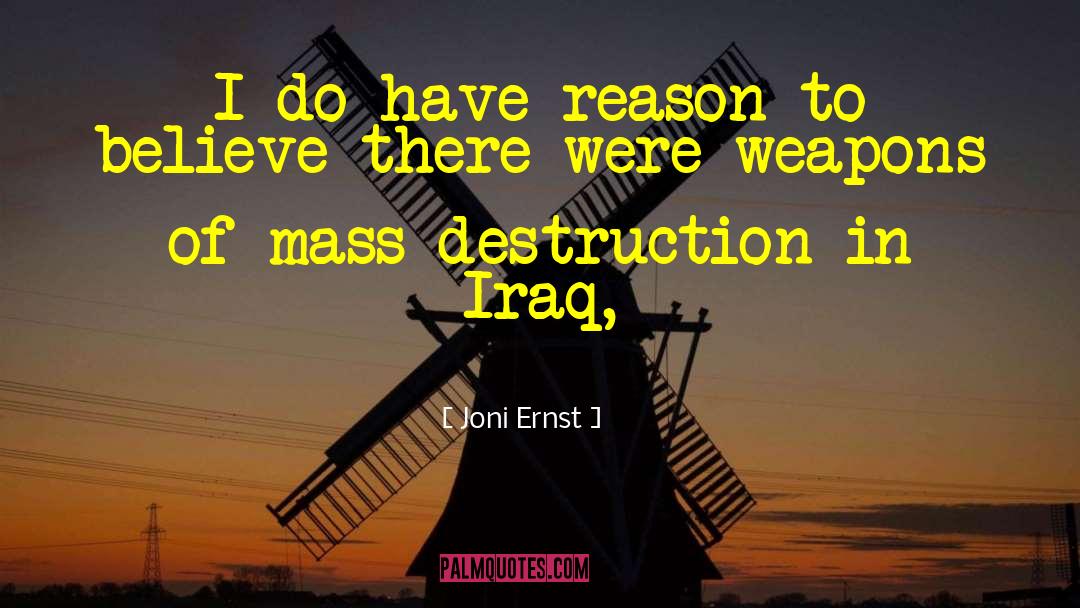 Joni Ernst Quotes: I do have reason to