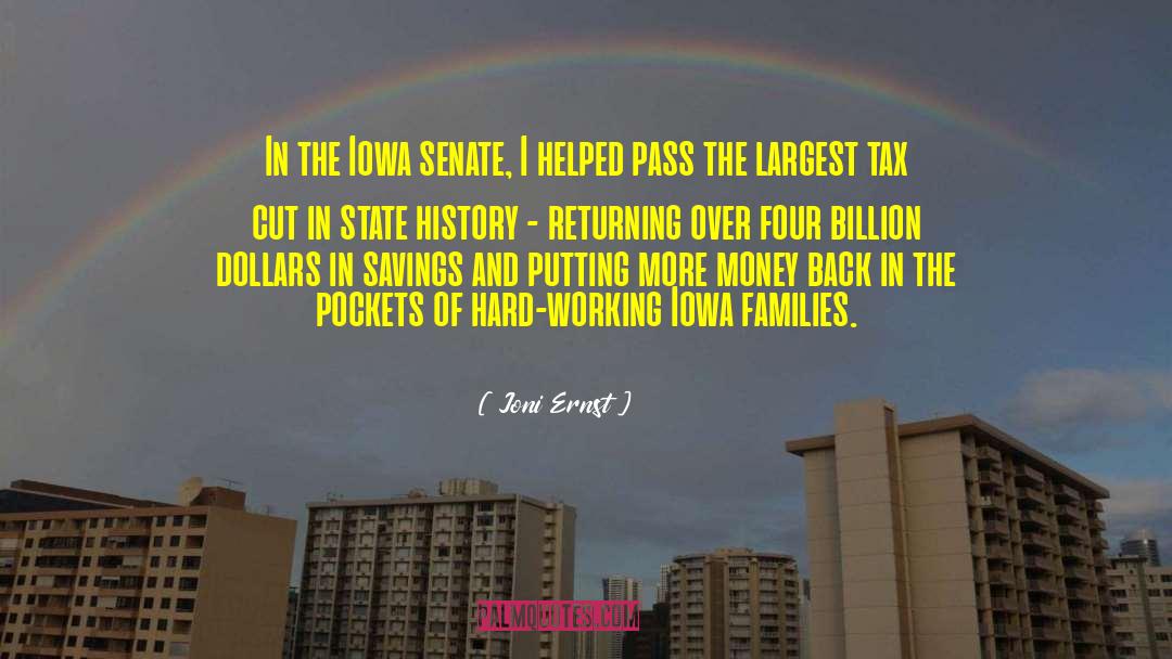 Joni Ernst Quotes: In the Iowa senate, I