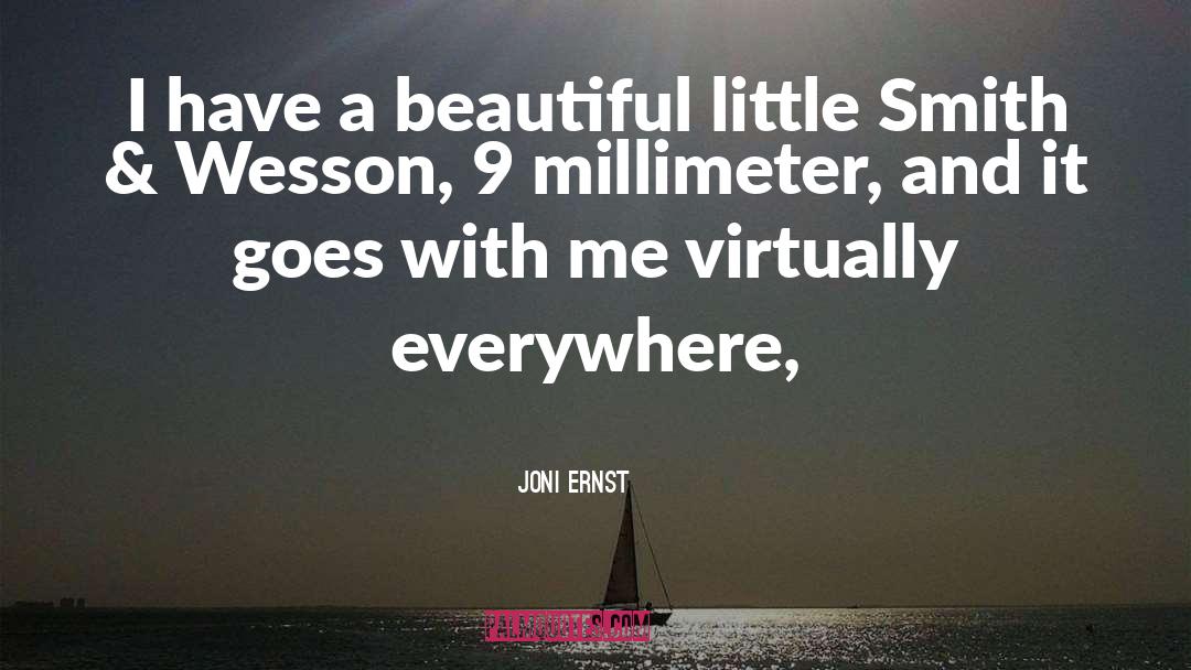 Joni Ernst Quotes: I have a beautiful little