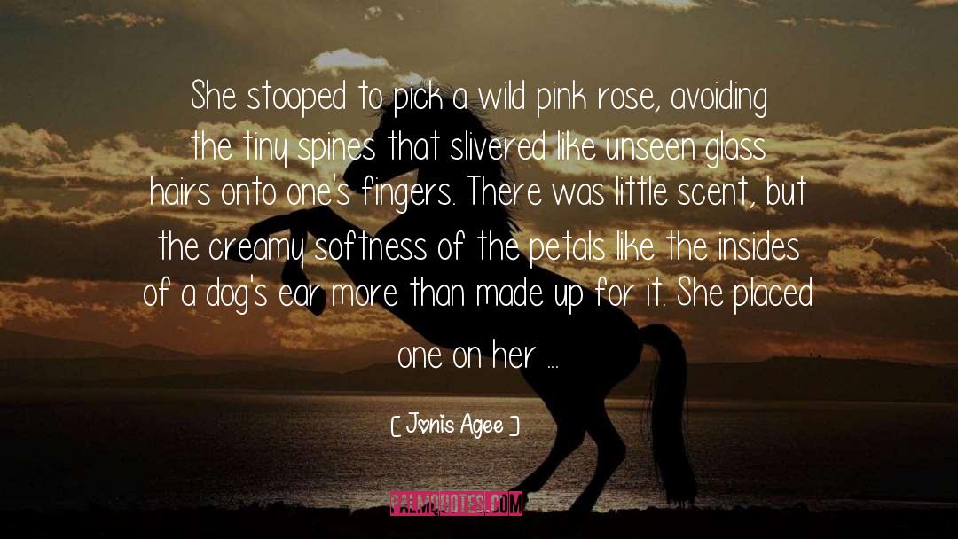 Jonis Agee Quotes: She stooped to pick a