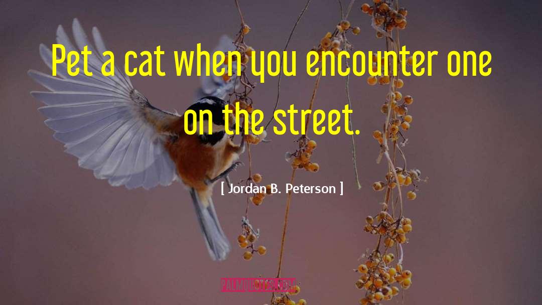 Jordan B. Peterson Quotes: Pet a cat when you