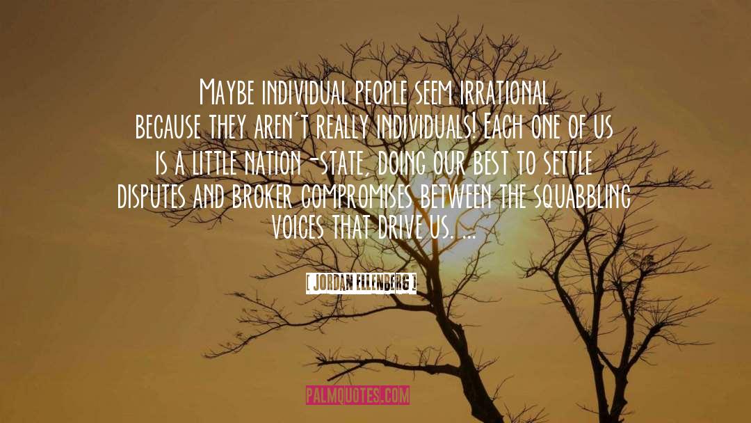 Jordan Ellenberg Quotes: Maybe individual people seem irrational