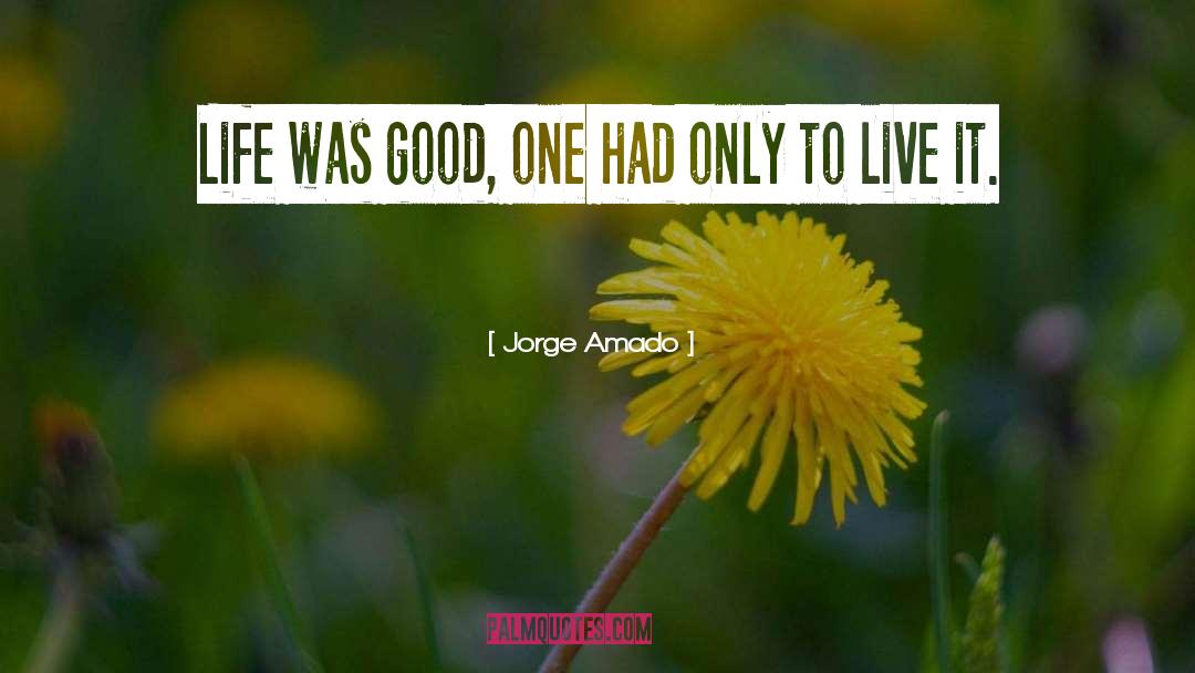 Jorge Amado Quotes: Life was good, one had