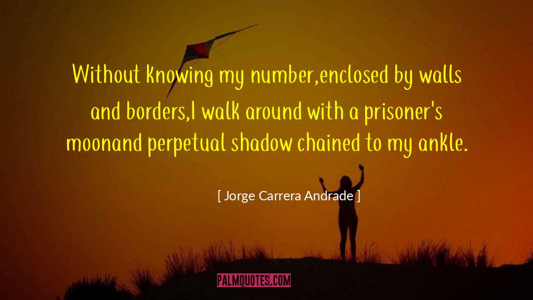 Jorge Carrera Andrade Quotes: Without knowing my number,<br />enclosed