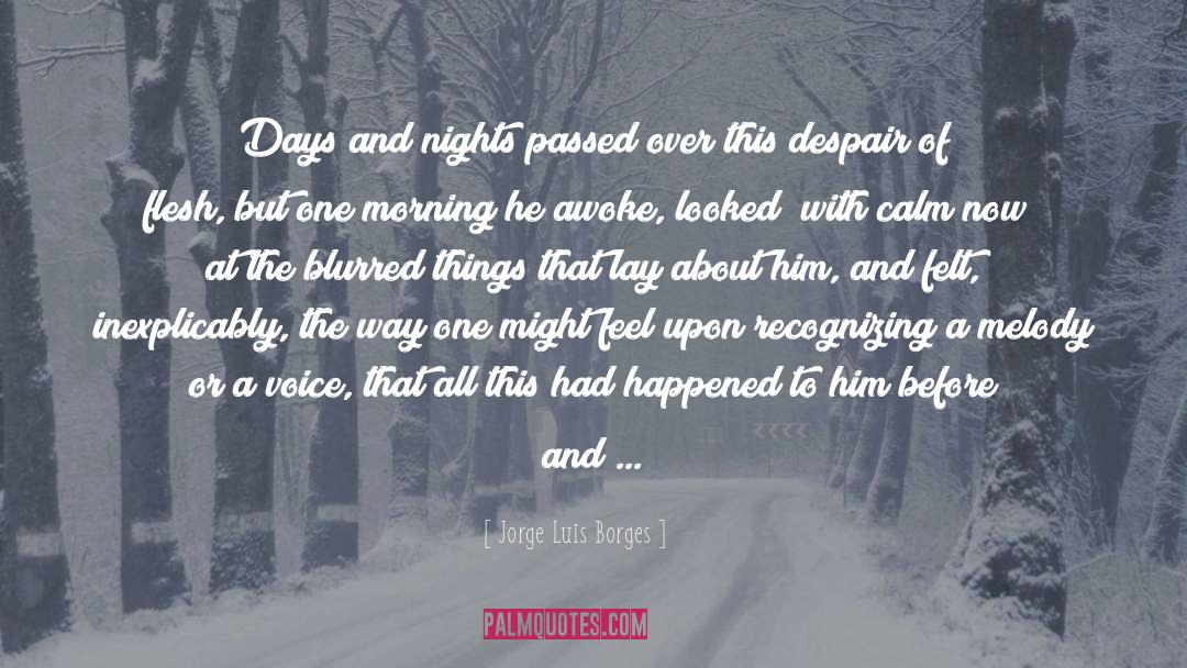 Jorge Luis Borges Quotes: Days and nights passed over