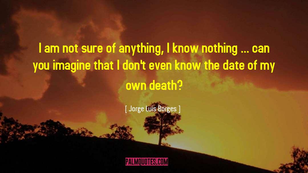 Jorge Luis Borges Quotes: I am not sure of