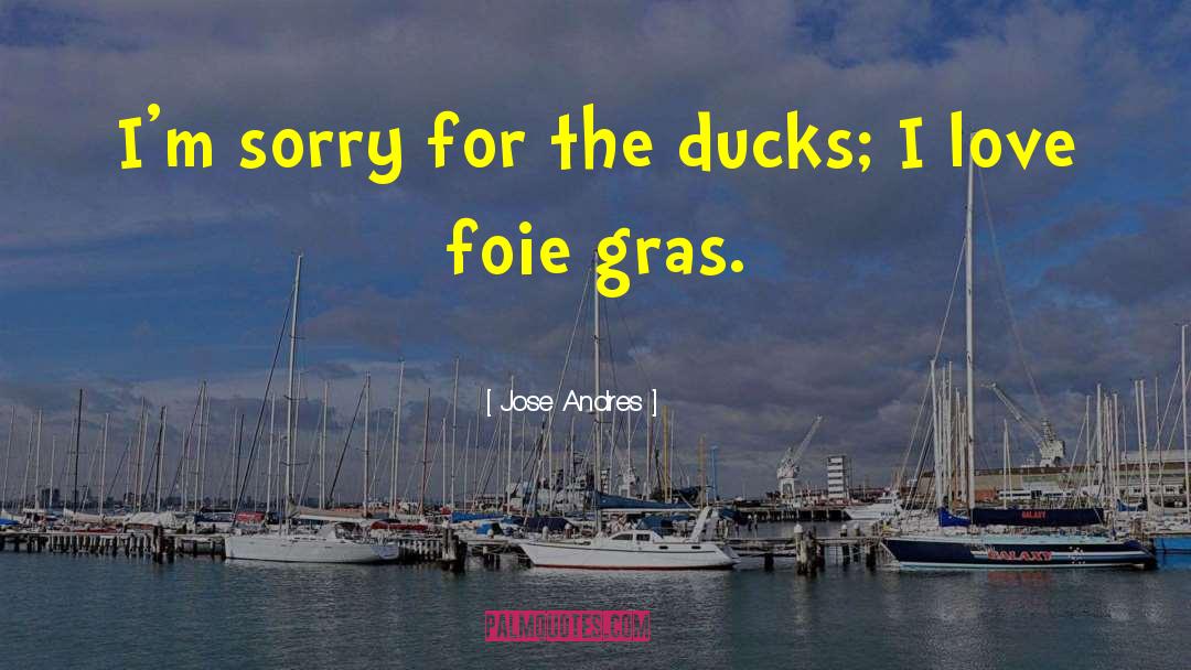 Jose Andres Quotes: I'm sorry for the ducks;