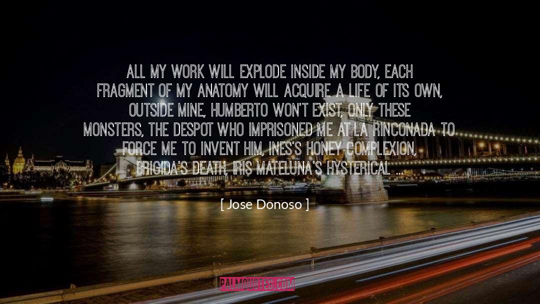 Jose Donoso Quotes: All my work will explode