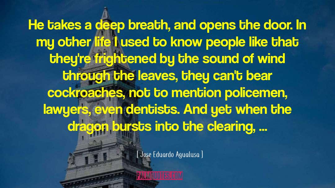 Jose Eduardo Agualusa Quotes: He takes a deep breath,