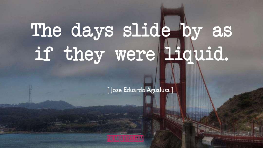 Jose Eduardo Agualusa Quotes: The days slide by as