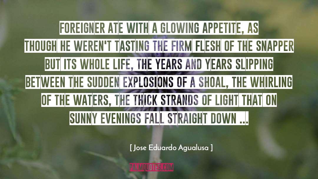 Jose Eduardo Agualusa Quotes: Foreigner ate with a glowing