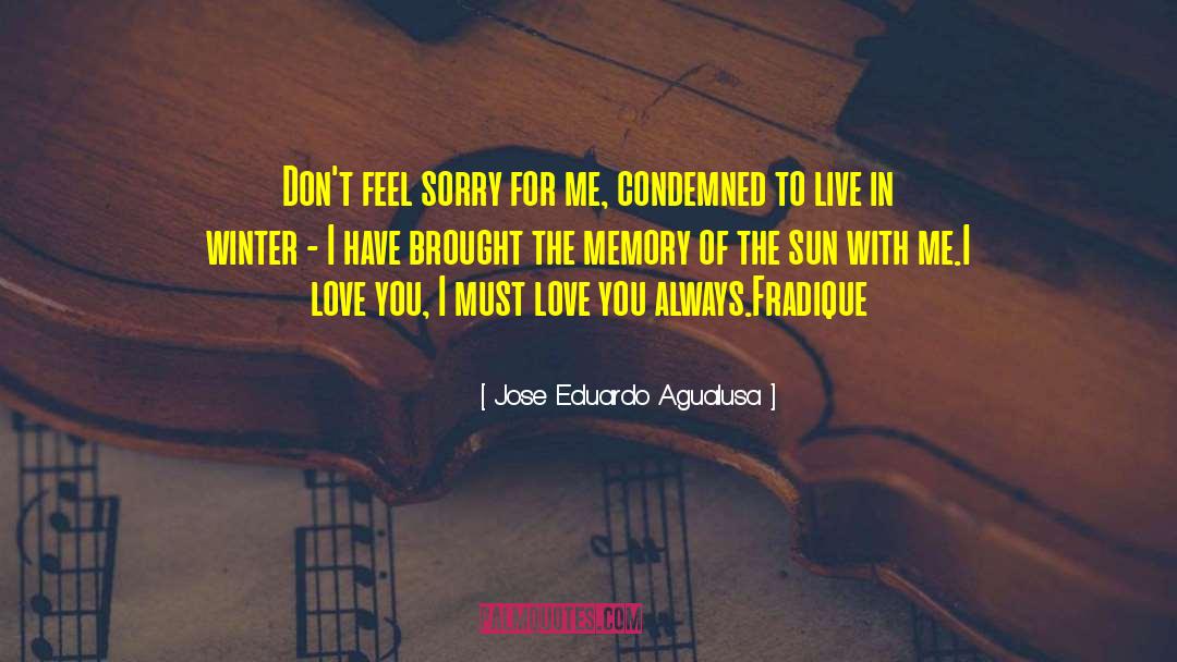 Jose Eduardo Agualusa Quotes: Don't feel sorry for me,