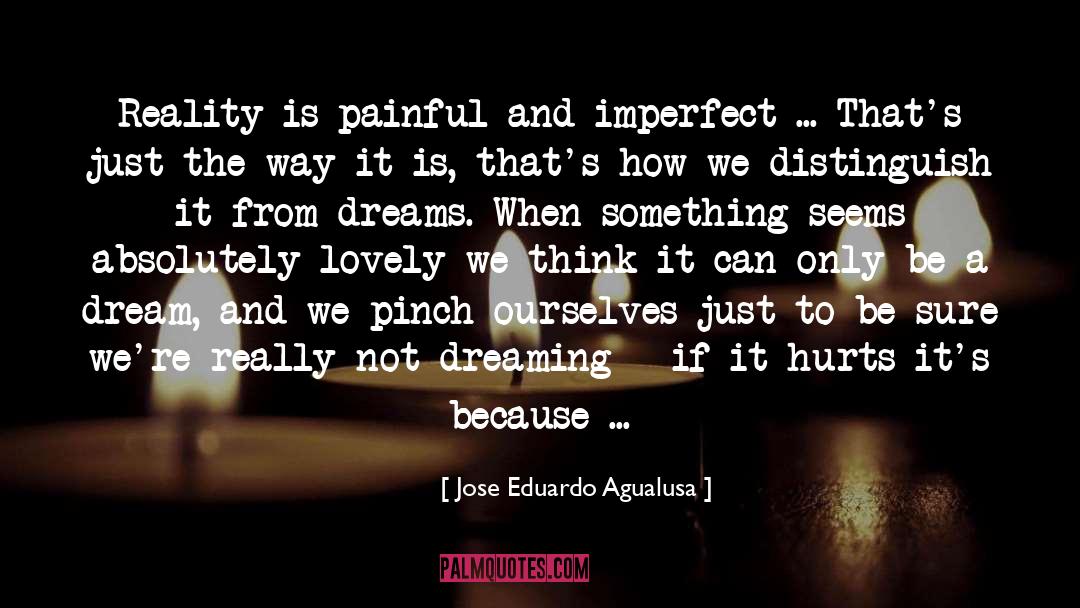 Jose Eduardo Agualusa Quotes: Reality is painful and imperfect