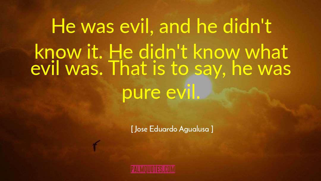 Jose Eduardo Agualusa Quotes: He was evil, and he