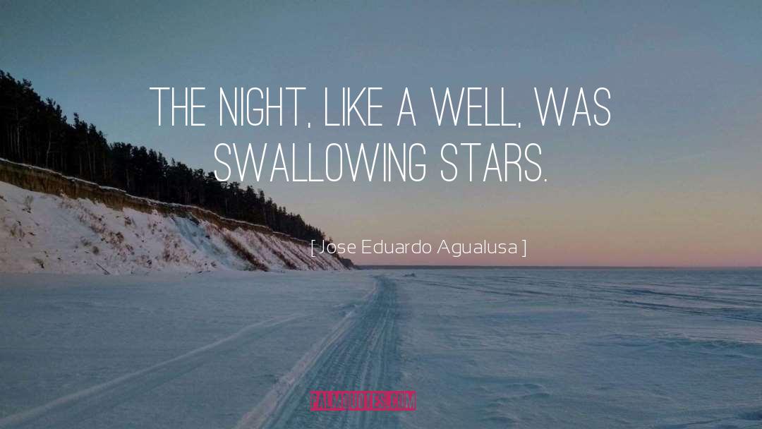 Jose Eduardo Agualusa Quotes: The night, like a well,