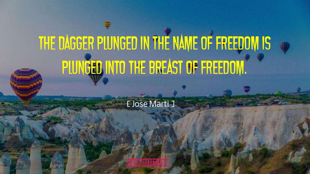 Jose Marti Quotes: The dagger plunged in the