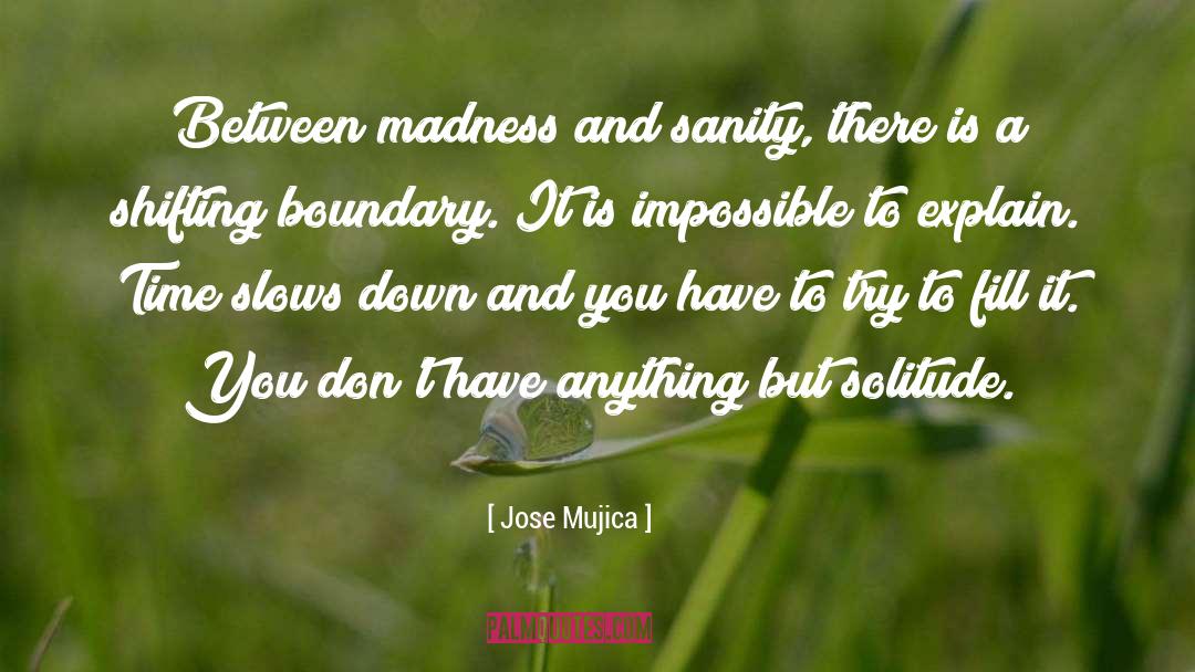 Jose Mujica Quotes: Between madness and sanity, there