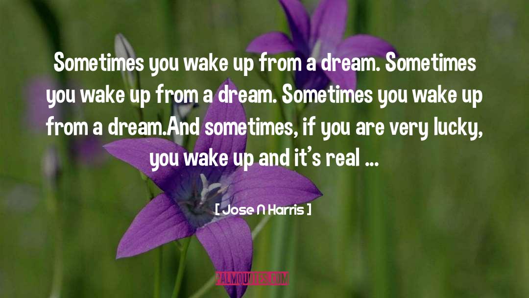 Jose N Harris Quotes: Sometimes you wake up from