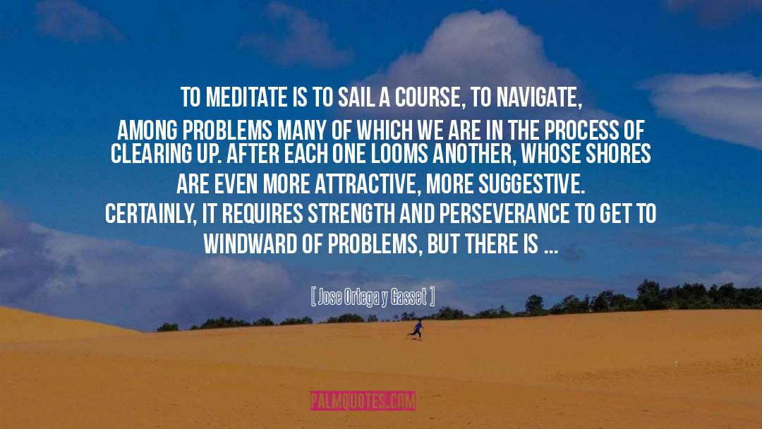 Jose Ortega Y Gasset Quotes: To meditate is to sail