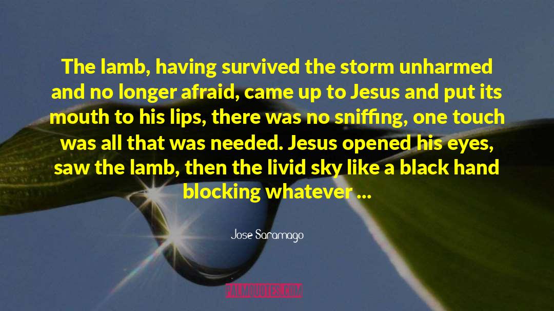 Jose Saramago Quotes: The lamb, having survived the