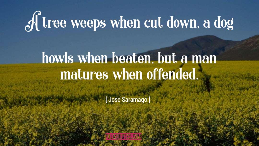 Jose Saramago Quotes: A tree weeps when cut