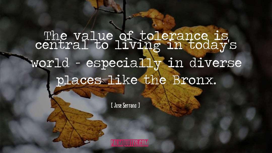 Jose Serrano Quotes: The value of tolerance is