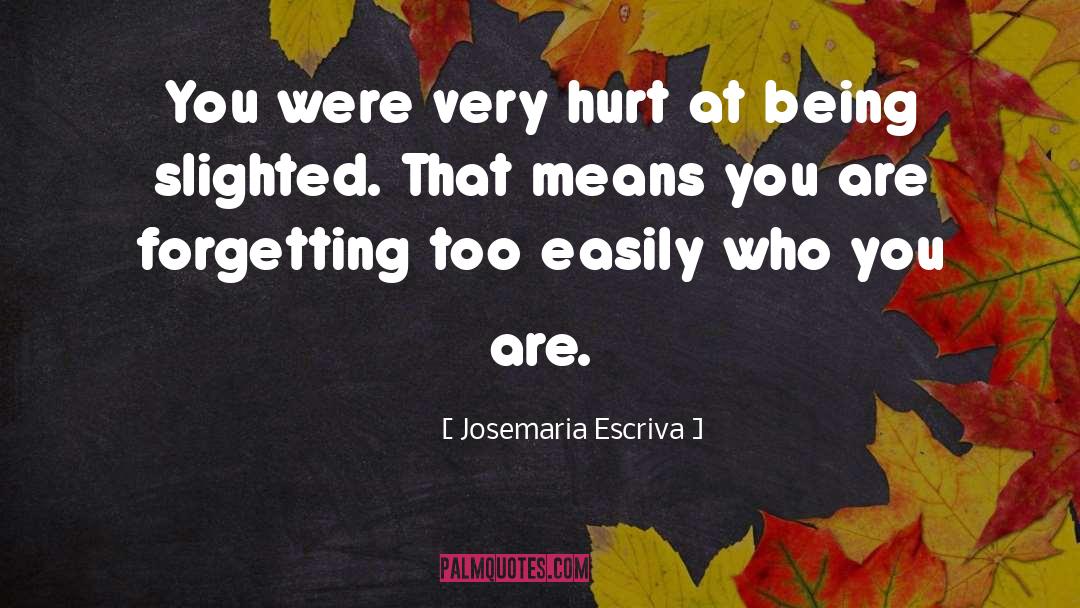 Josemaria Escriva Quotes: You were very hurt at