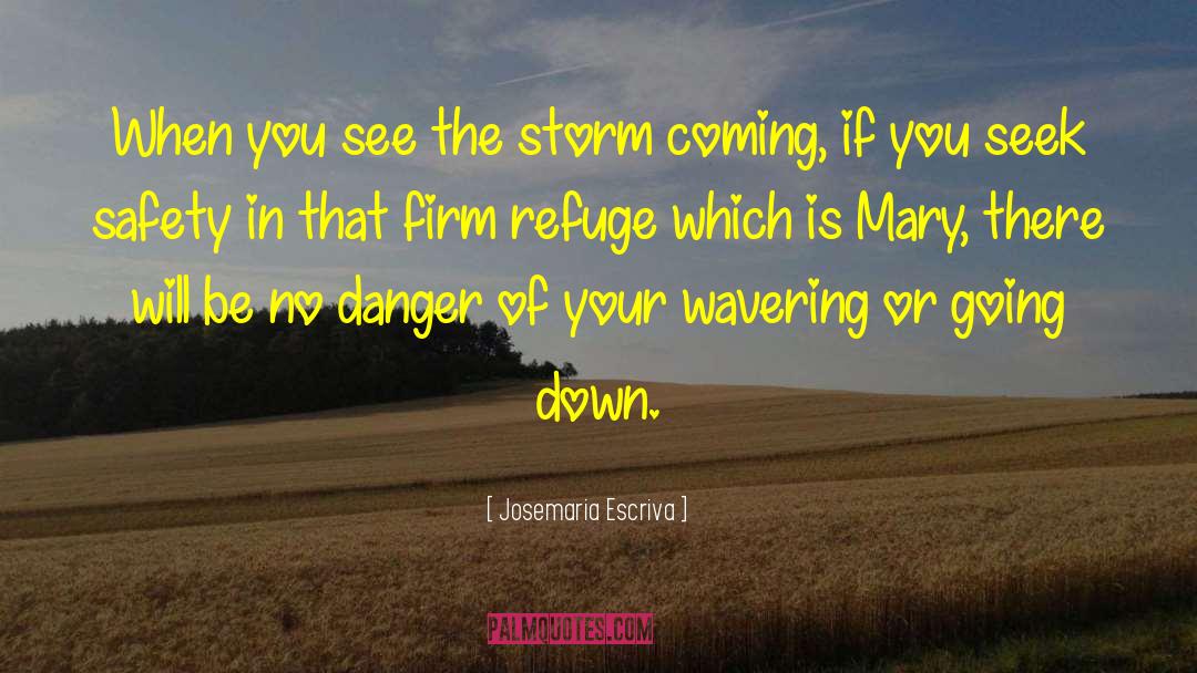 Josemaria Escriva Quotes: When you see the storm