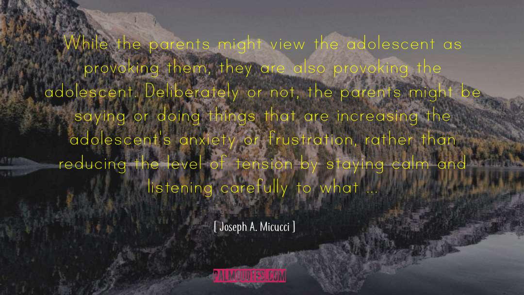 Joseph A. Micucci Quotes: While the parents might view