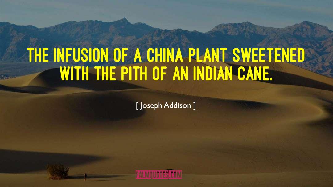 Joseph Addison Quotes: The Infusion of a China