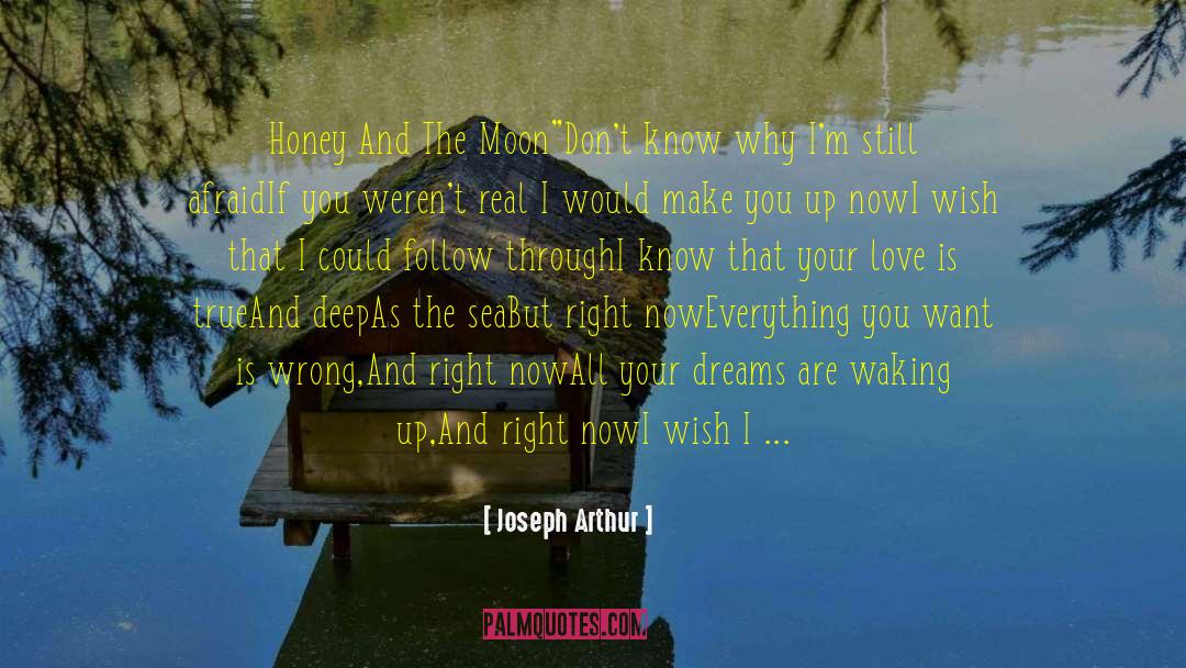 Joseph Arthur Quotes: Honey And The Moon