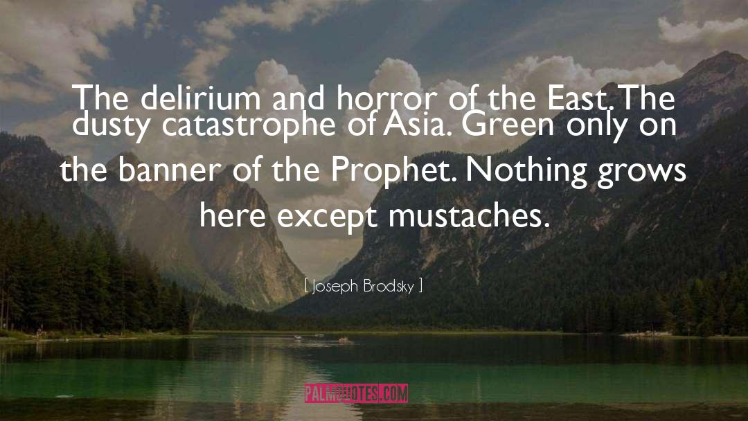 Joseph Brodsky Quotes: The delirium and horror of