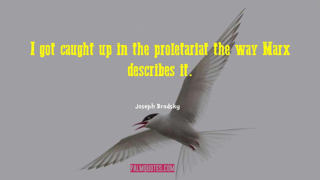 Joseph Brodsky Quotes: I got caught up in