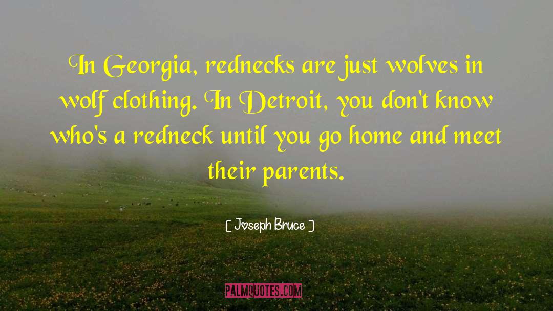 Joseph Bruce Quotes: In Georgia, rednecks are just