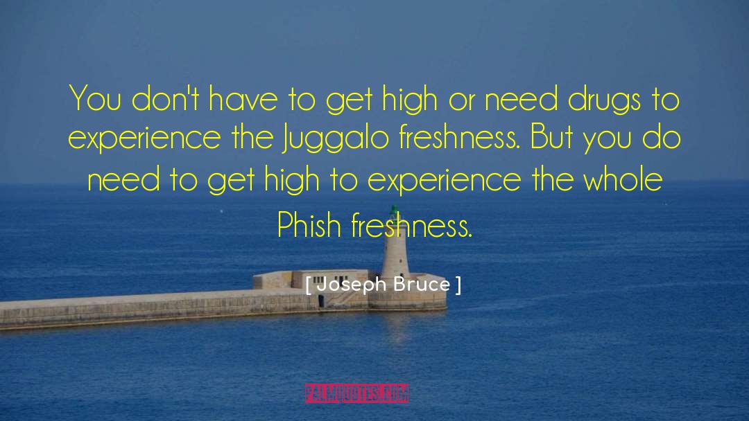 Joseph Bruce Quotes: You don't have to get