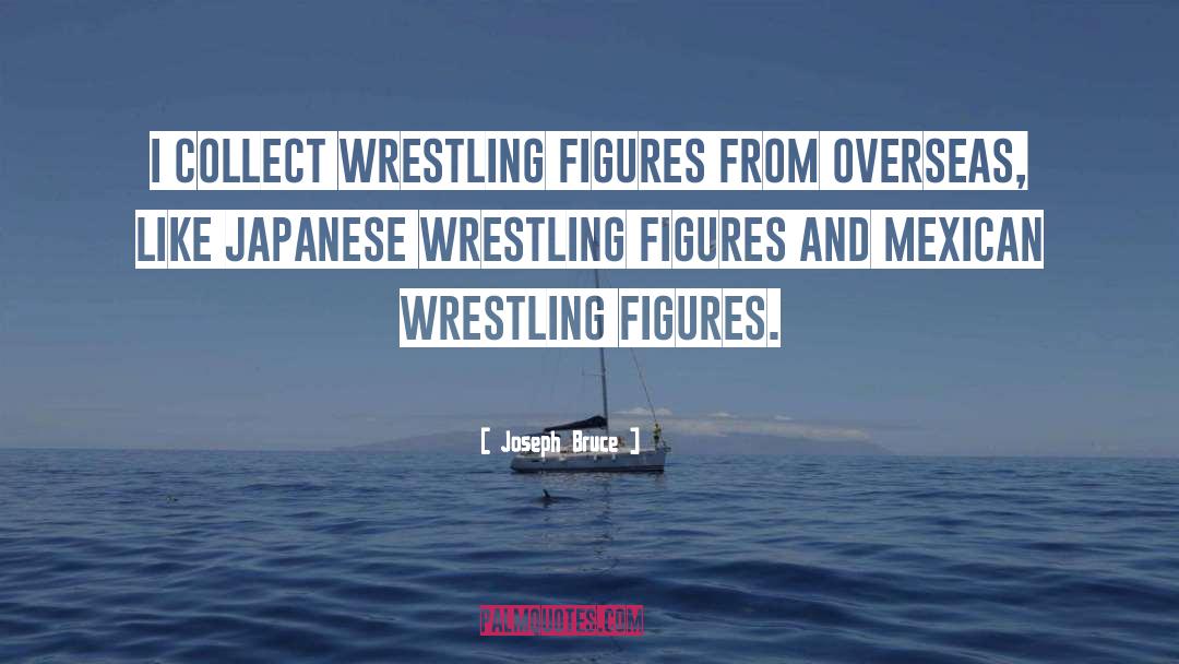Joseph Bruce Quotes: I collect wrestling figures from