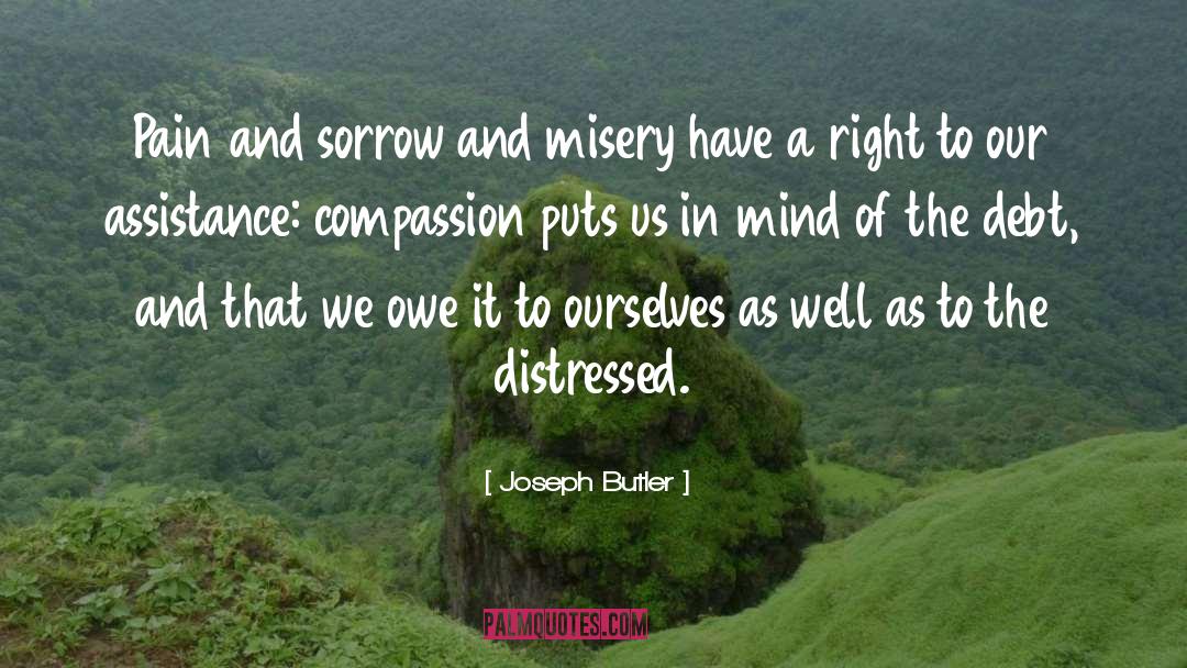 Joseph Butler Quotes: Pain and sorrow and misery