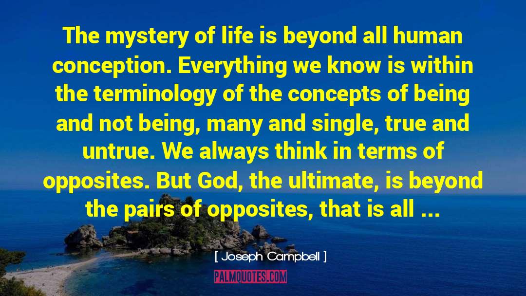 Joseph Campbell Quotes: The mystery of life is