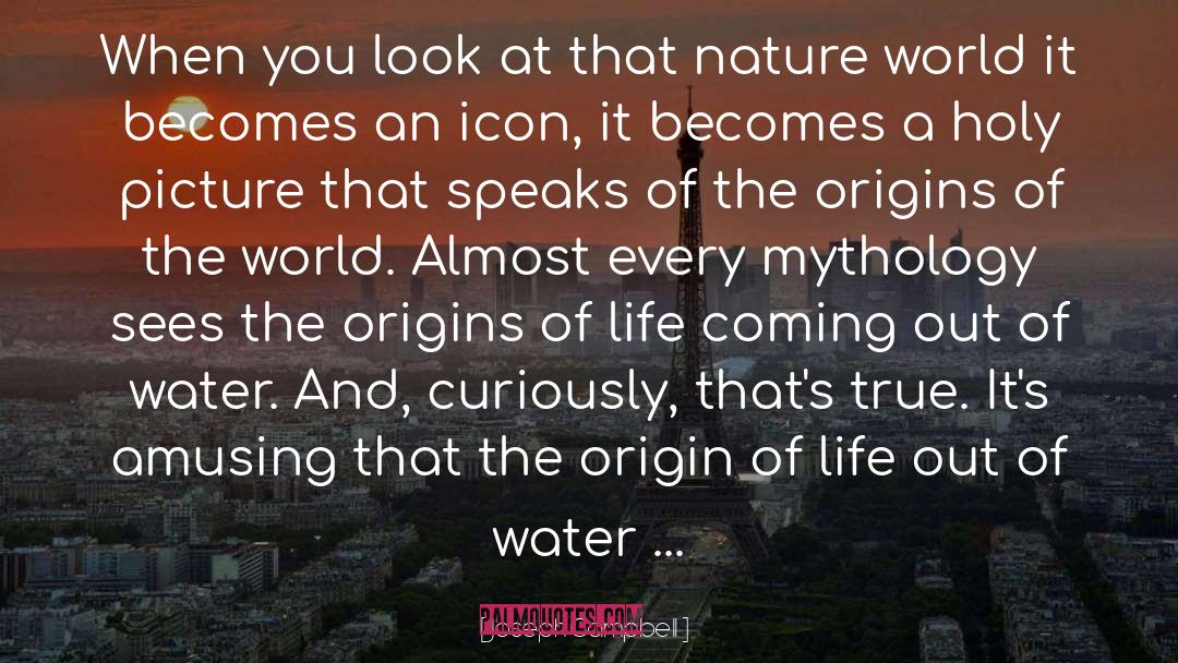 Joseph Campbell Quotes: When you look at that