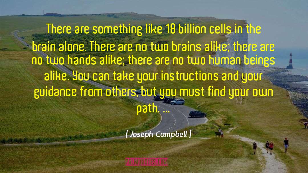 Joseph Campbell Quotes: There are something like 18