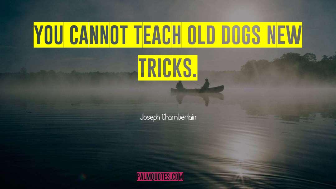 Joseph Chamberlain Quotes: You cannot teach old dogs