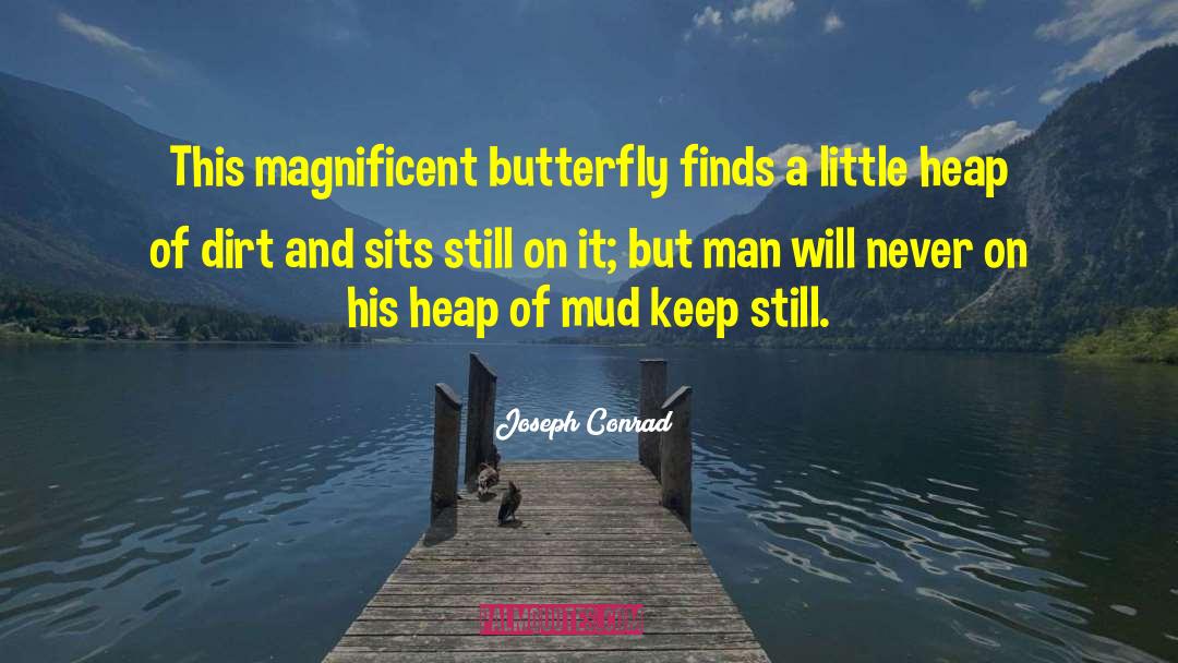 Joseph Conrad Quotes: This magnificent butterfly finds a