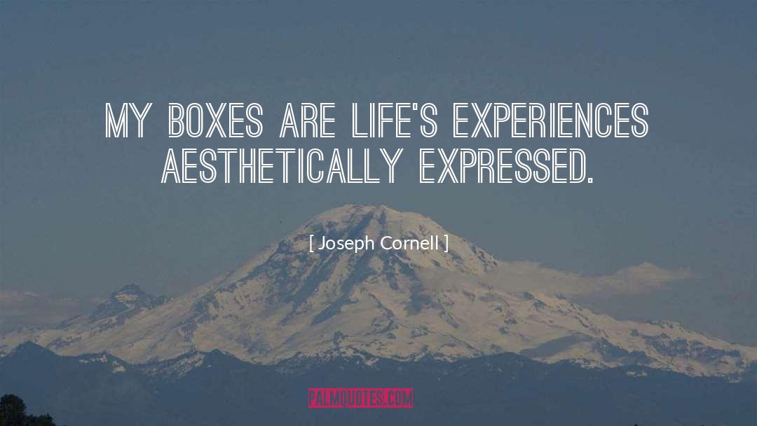 Joseph Cornell Quotes: My boxes are life's experiences