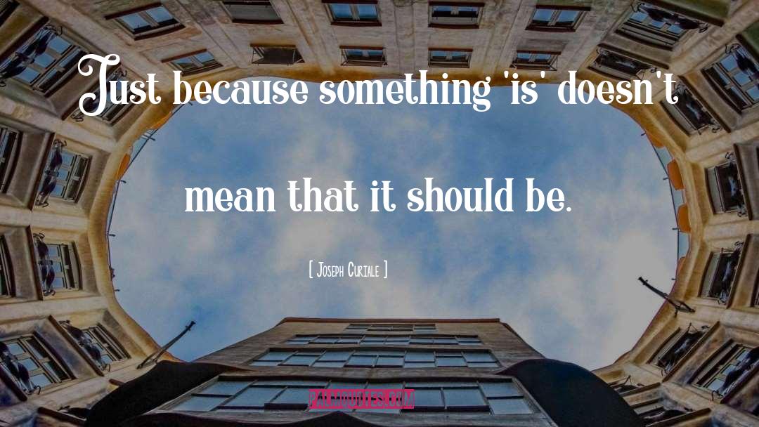 Joseph Curiale Quotes: Just because something 'is' doesn't