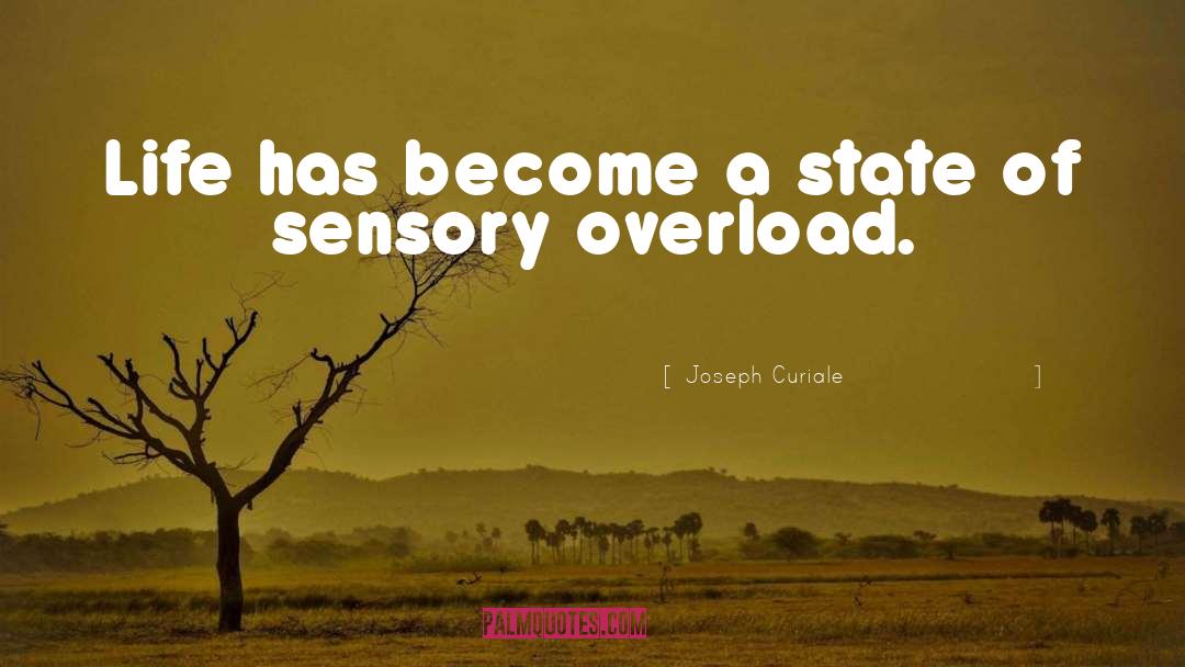 Joseph Curiale Quotes: Life has become a state