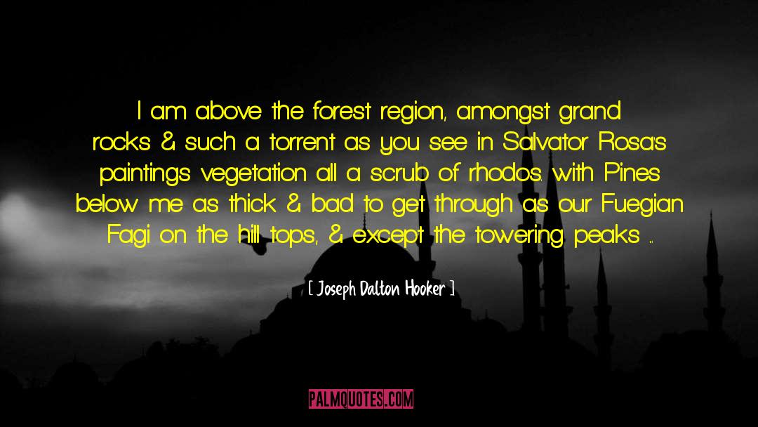 Joseph Dalton Hooker Quotes: I am above the forest